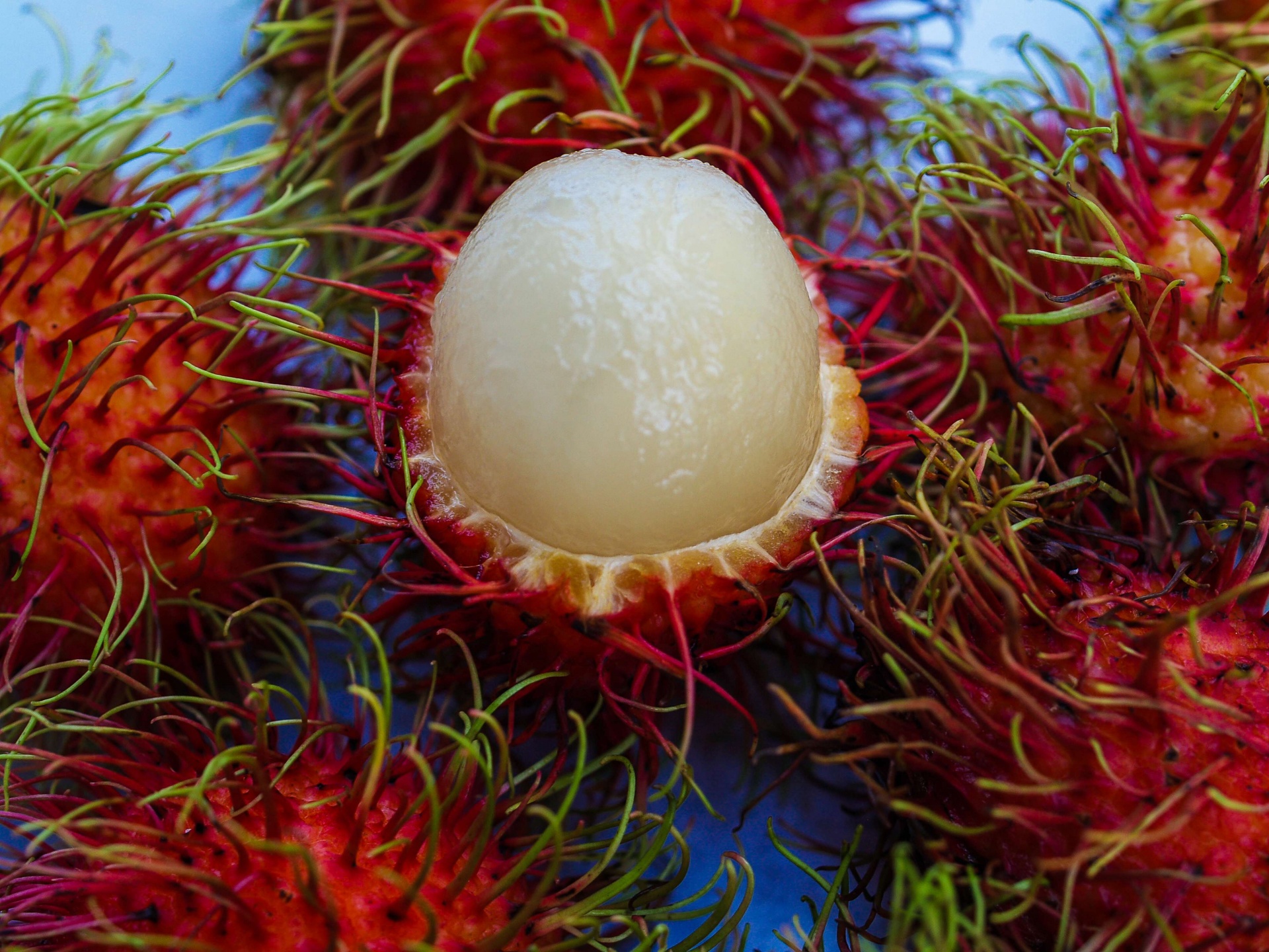 Tropical Fruits